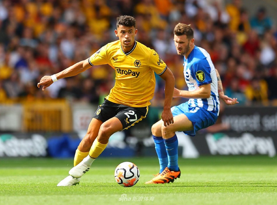 为未来的比 为未来的比